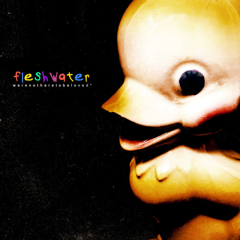 Fleshwater - We're Not Here To Be Loved