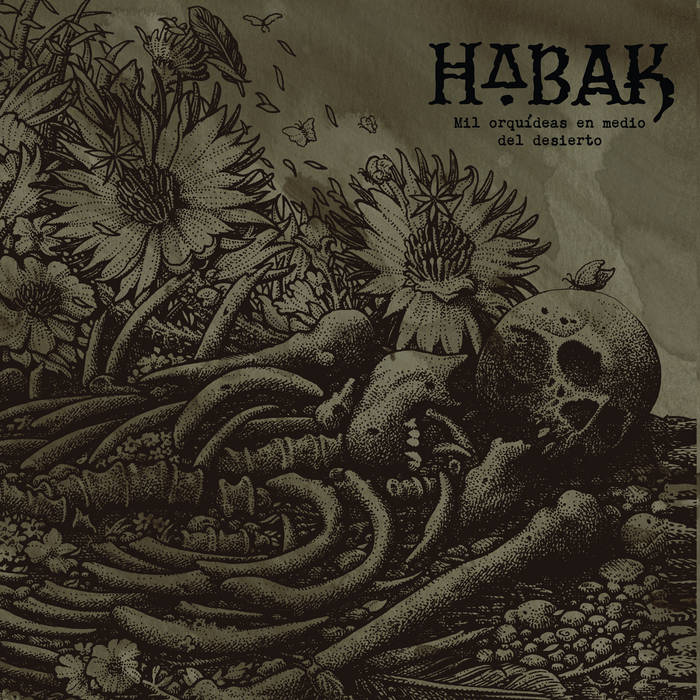 Habak - Mil Orquideas En Medio Del Desierto
